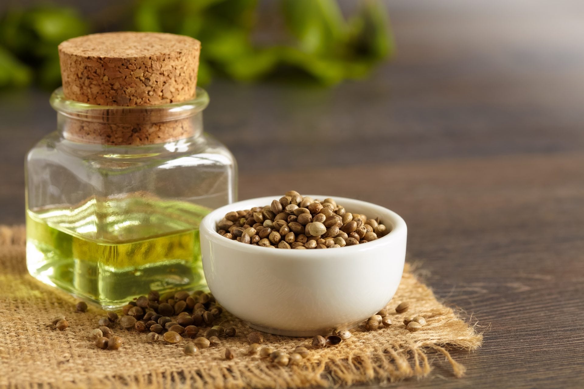 Hanfpassion verkauft nicht nur reine CBD Produkte, sondern auch Superfood - Artikel, sowie Hanfsamenöl, Hanfprotein, Hanftee und viel mehr.